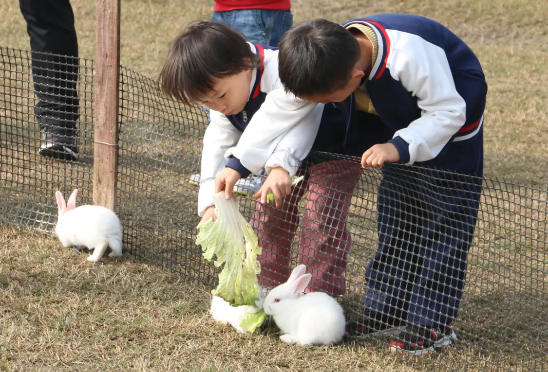 跟着“剧本”游乡村，铜山三堡街道农文旅商“热”力足