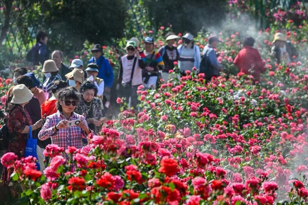 “五一”爆火!铜山柳泉镇跻身“微度假”新宠