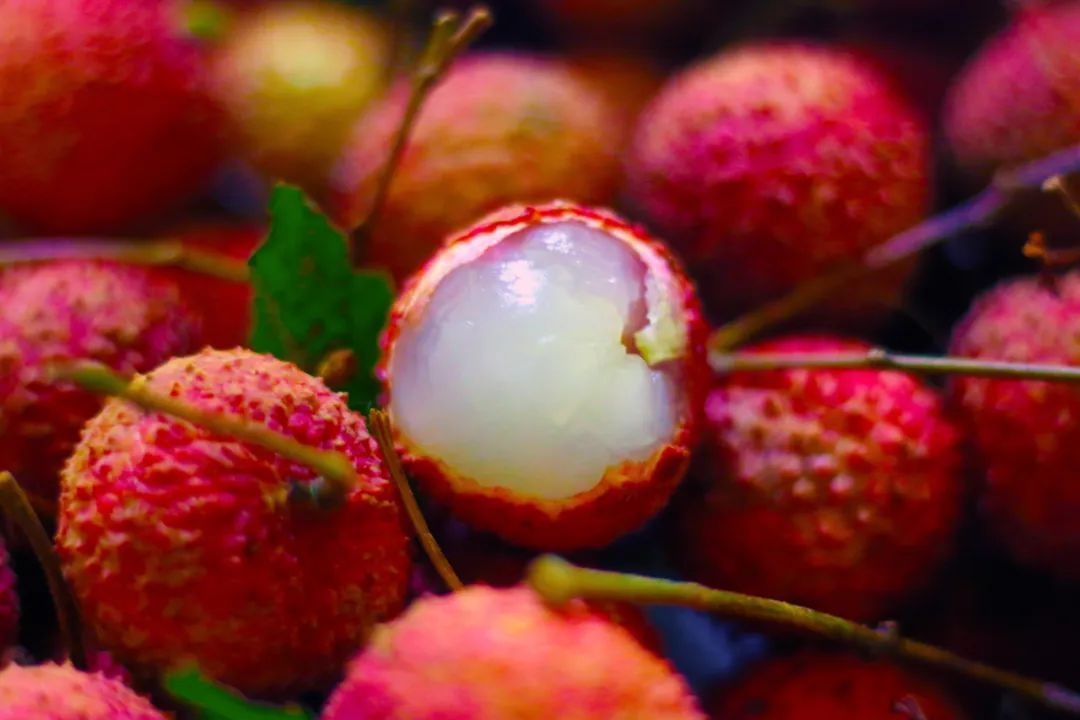 今年大降价 深圳最新荔枝采摘地图,现在去刚刚好